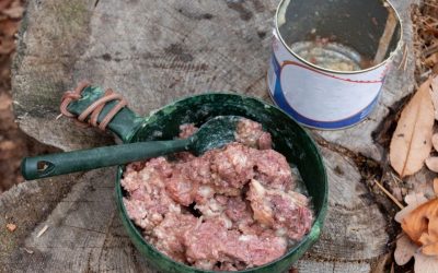 Canned Dog Food: What Is Hidden Inside and How to Restore Balance