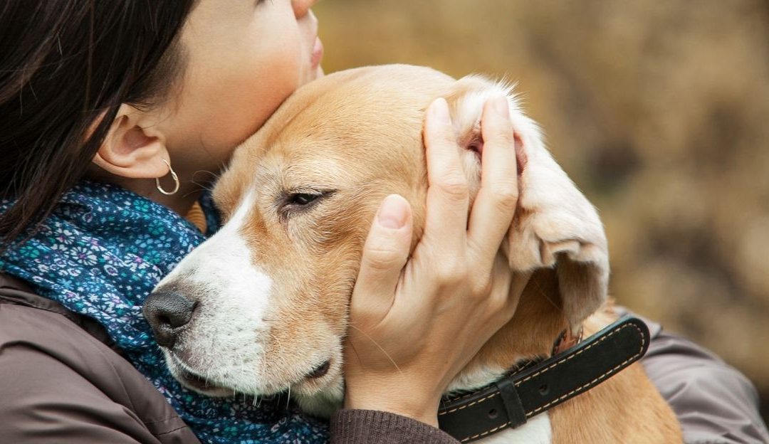 When a Dog Becomes a Hostage of Our “Love”: The Price Pets Pay