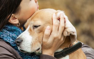 When a Dog Becomes a Hostage of Our “Love”: The Price Pets Pay