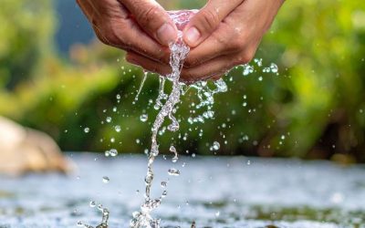 Life as a River: Are You Moving Upstream or Being Carried Back by the Current?