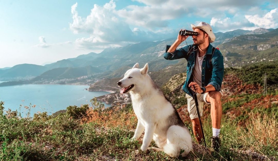 Life with a dog in nature as a reminder of the strength we carry within us.