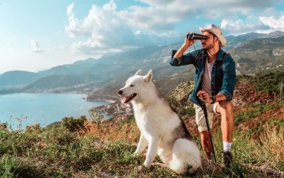 Life Is Easier and More Beautiful With Dogs: How Pets Bring Us Back to Our Strength