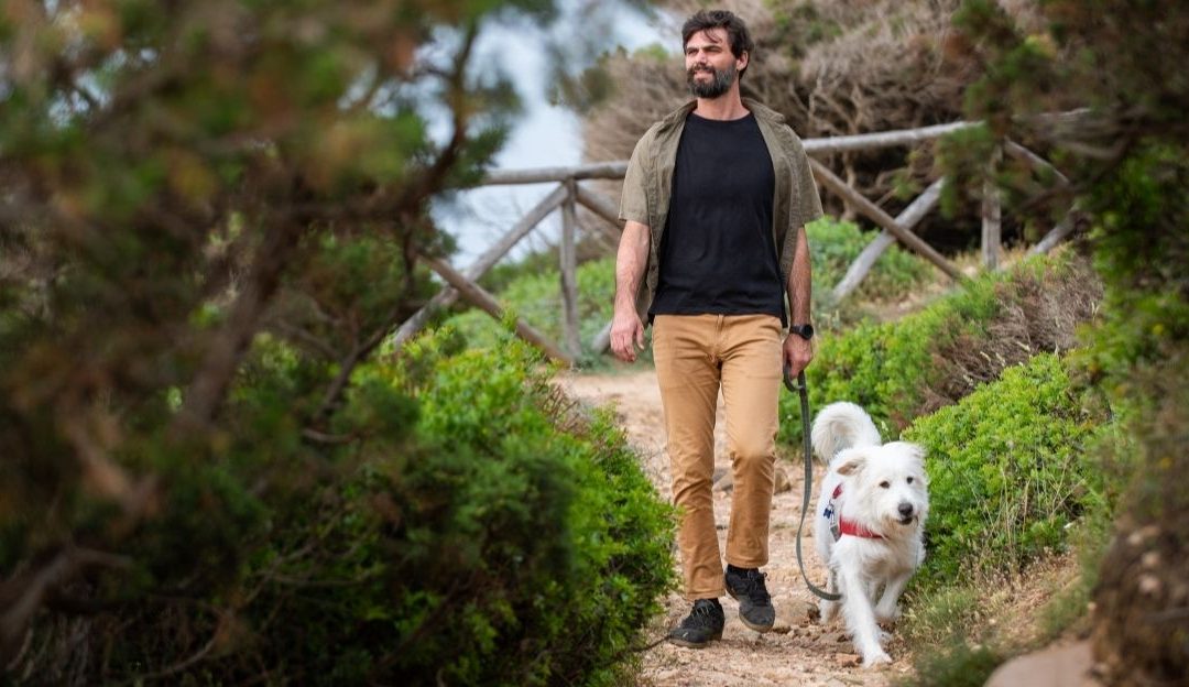 Dog Behavior: The Power of Silent Communication and Group Rules