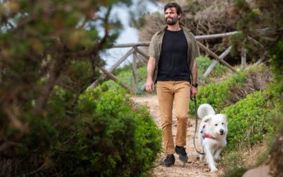 Dog Behavior: The Power of Silent Communication and Group Rules