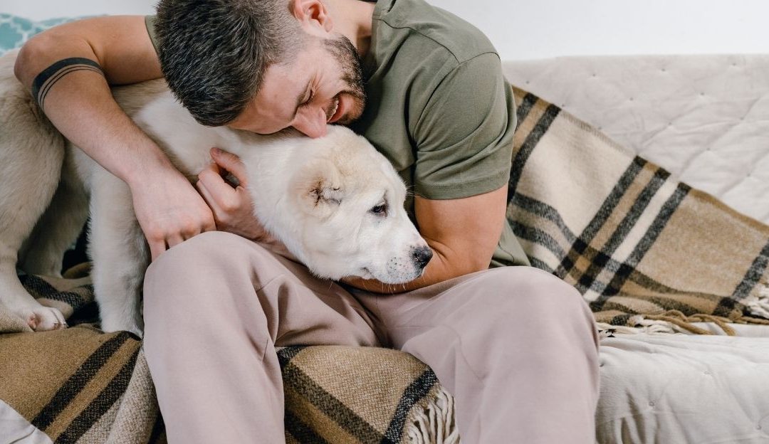 A concerned owner comforting his sick dog while learning what causes canine epileptic seizures