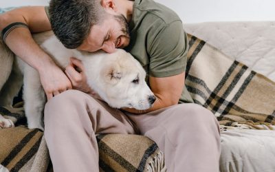 Why Do Dogs Have Epileptic Seizures? The Experience That Changed Everything