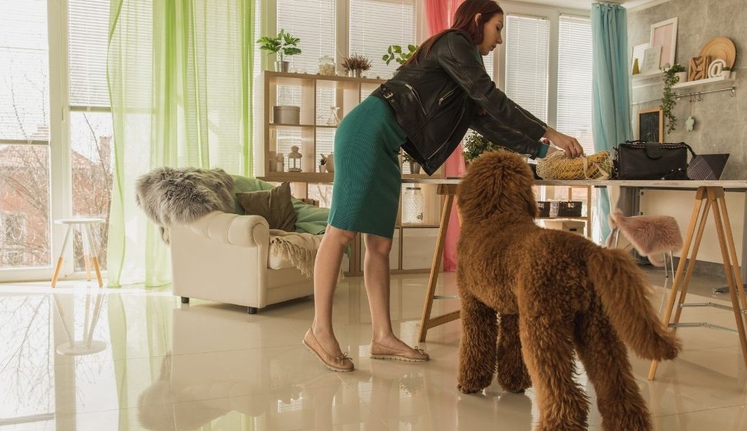 Returning From the Hunt: Why a Calm Arrival Home Is Essential for Your Dog