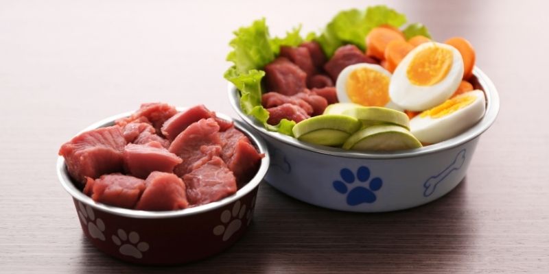Two dog food bowls filled with fresh raw meat pieces, boiled eggs, and vegetables showing living food choices