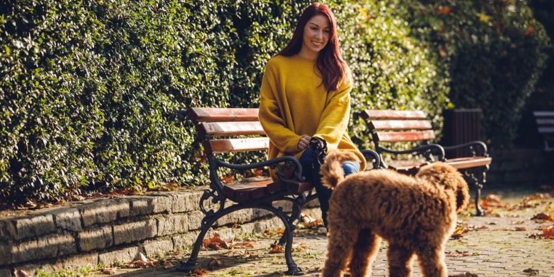 A calm woman sitting on a park bench watching her brown poodle representing inner stability and peace with roots