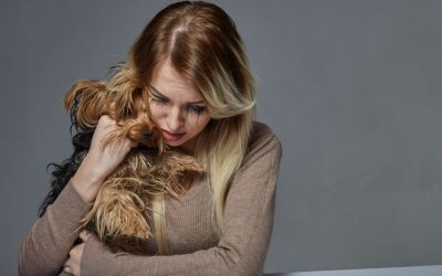 When Our Dogs Reflect Our Subconscious: Why Do Our Dogs Become Ill?