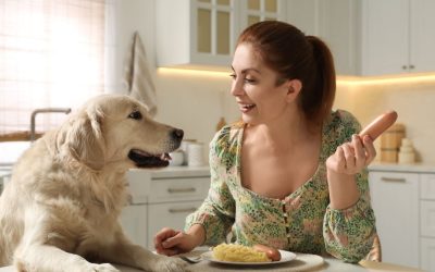 Boundaries as an Expression of Love: The Danger of Overindulgence