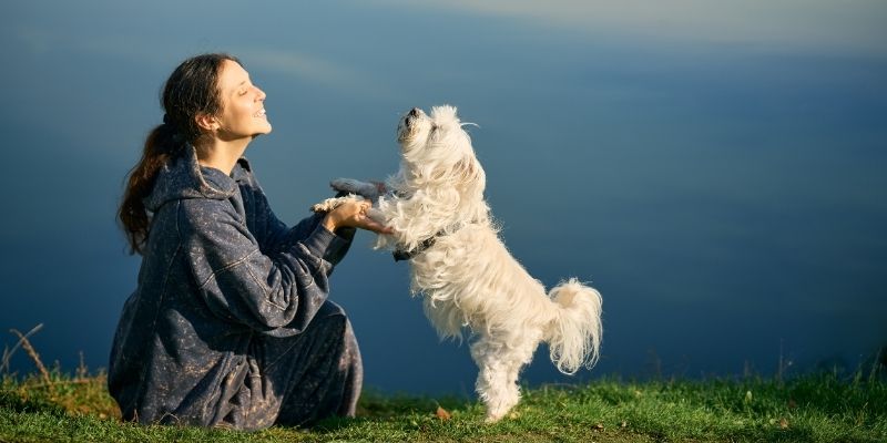 A woman holding paws with her small white dog on a grassy hill showing a bond free from a programmed mind