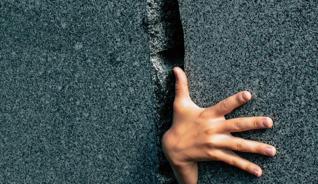 Why the Brain Blocks Us: The Path from Survival to Change