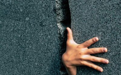 Why the Brain Blocks Us: The Path from Survival to Change