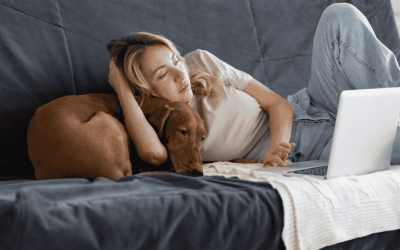 The Dog That Does Not Lie: How Mounting Exposed a Marital Affair