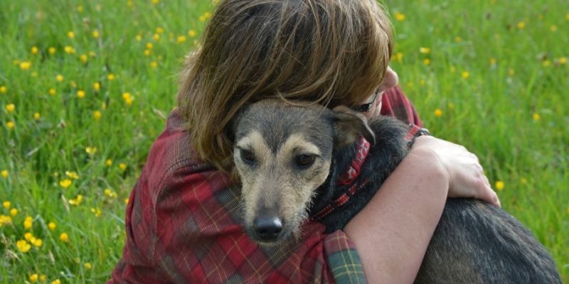 A caring dog owner in a plaid shirt tightly hugging a small terrier dog on a green meadow advocating against dangerous tick tablets
