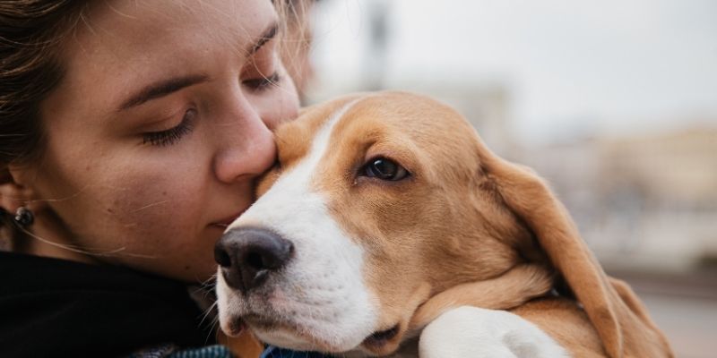 A young woman tenderly kissing her dog on the head, showing how emotional connection heals trauma in dogs