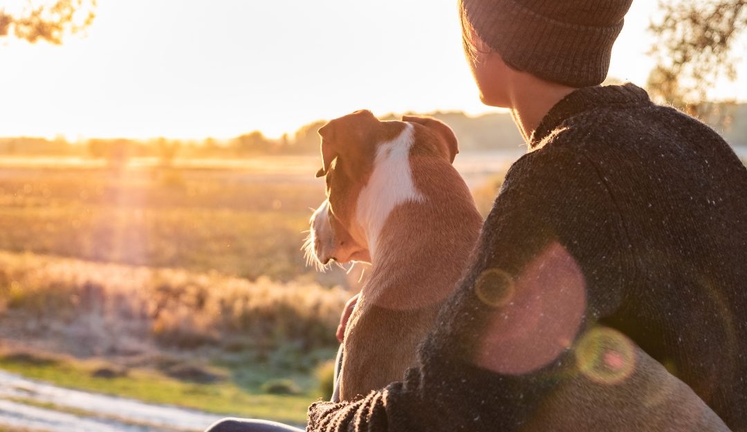 From the Illusion of Perfection to the Truth: Why a Dog Is Not a Trophy
