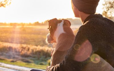 From the Illusion of Perfection to the Truth: Why a Dog Is Not a Trophy