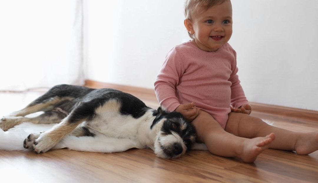 A happy baby sitting on the floor next to a relaxed small dog illustrating how children and dogs connect naturally