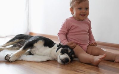 Can a Dog Replace a Parent in Communication?