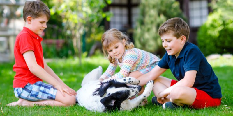 Three young children gently petting a dog lying on its back outdoors demonstrating conflict-free play between children and dogs