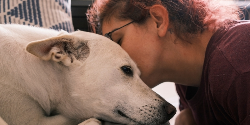 A woman leaning her head gently against a calm white dog showing deep emotional connection instead of a pack leader dog dynamic