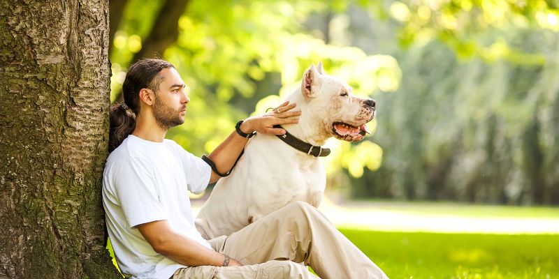 A man leaning against a tree trunk gently petting his white dog in a park showing responsible ownership over routine spaying and neutering