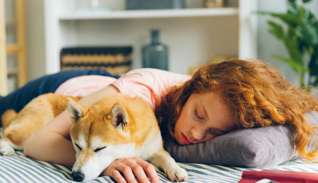 Red-haired woman sleeping peacefully next to her Shiba Inu dog on a bed, illustrating how inner peace helps when asking why a dog cannot relax