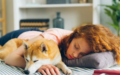 Why Can’t a Dog Relax?