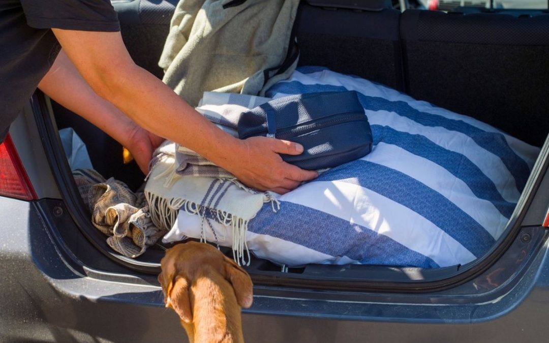Brown dog watching owner pack the car trunk with blankets to illustrate why dogs fear car rides