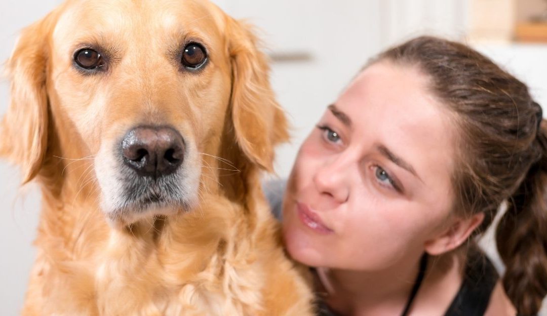 When a Dog Feels a Person’s “Bad Energy”: What Is Actually Happening Inside the Dog’s Body