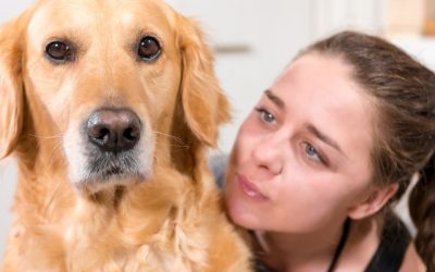 When a Dog Feels a Person’s “Bad Energy”: What Is Actually Happening Inside the Dog’s Body