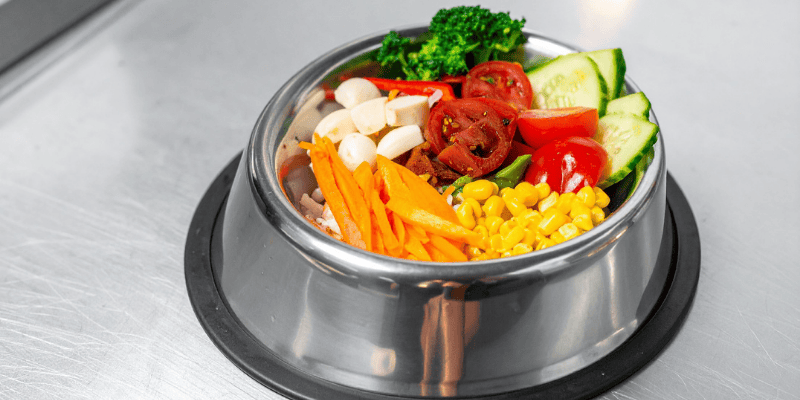Stainless steel bowl filled with fresh vegetables and probiotics to explain why do dogs eat feces