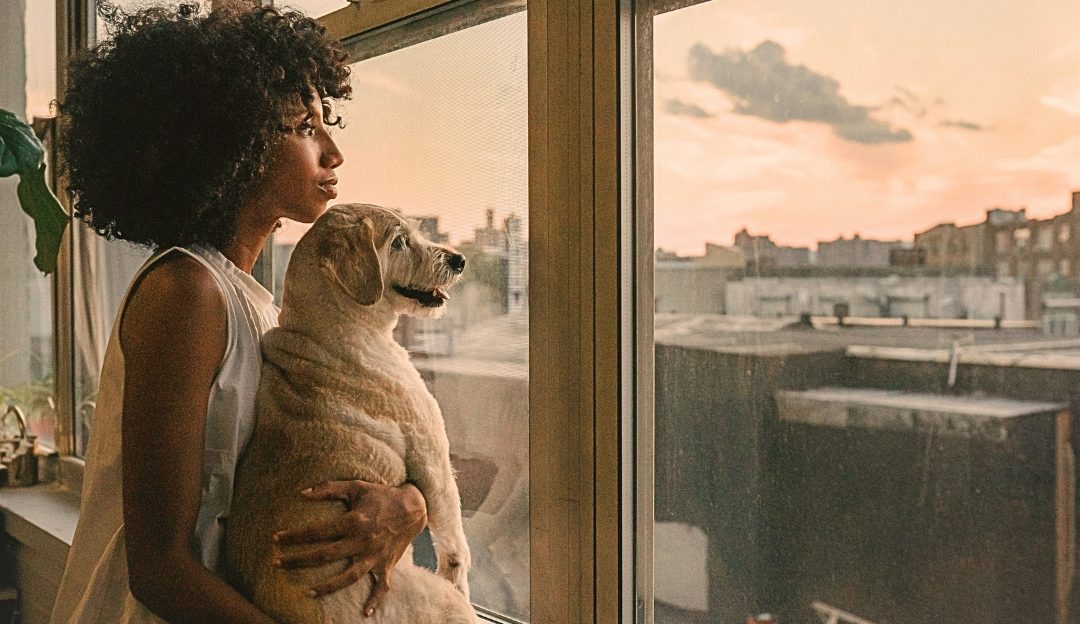 Woman holding her senior fluffy dog closely while looking out the window during sunset, illustrating why is the loss of a dog so painful
