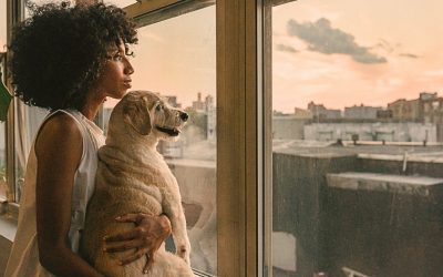 Why Is the Loss of a Dog So Painful?