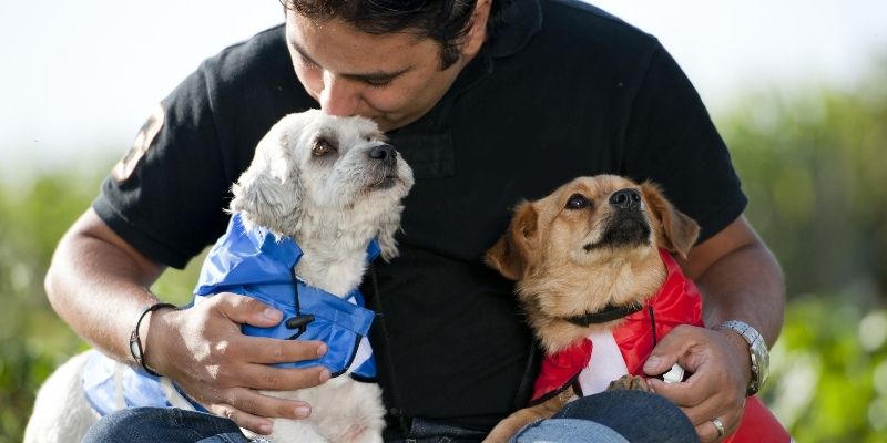 Caring owner holding and kissing two small dogs peacefully to support them when your dog won’t stop barking