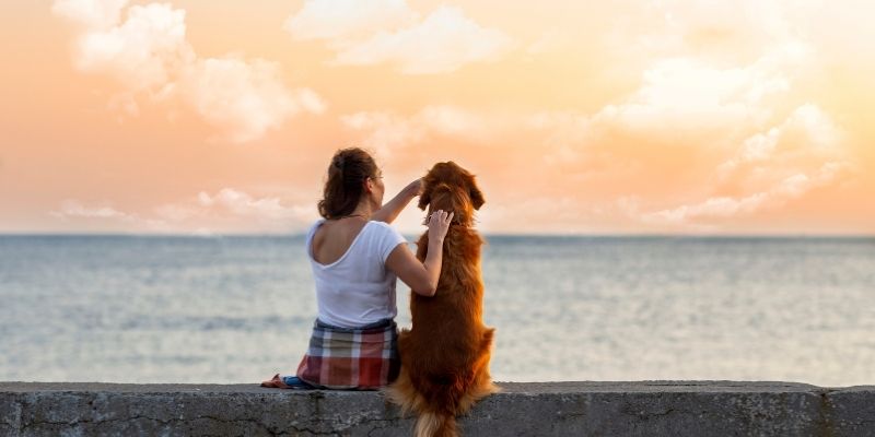Woman and golden dog sitting together by the sea at sunset illustrating a dog comes when the soul is ready