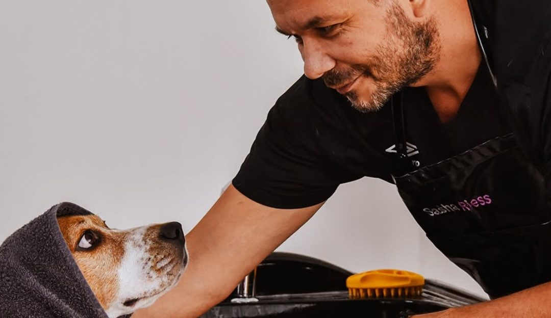 Why Change a Recipe That Delivers Results? The Truth About Dog Grooming and Nutrition