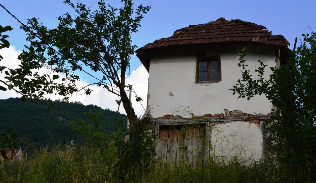 Old rural village house surrounded by nature illustrating search for a better life and returning to roots