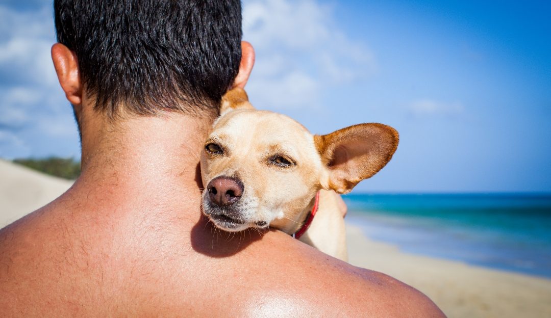 Truly Feel Your Dog: How Our Inner Energy Shapes Their Reality