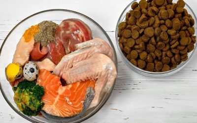 The War Over Dog Food: Marketing Illusions Shaping the Industry