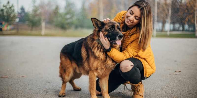 Confident owner comforting German Shepherd demonstrating support when your dog is afraid of noise